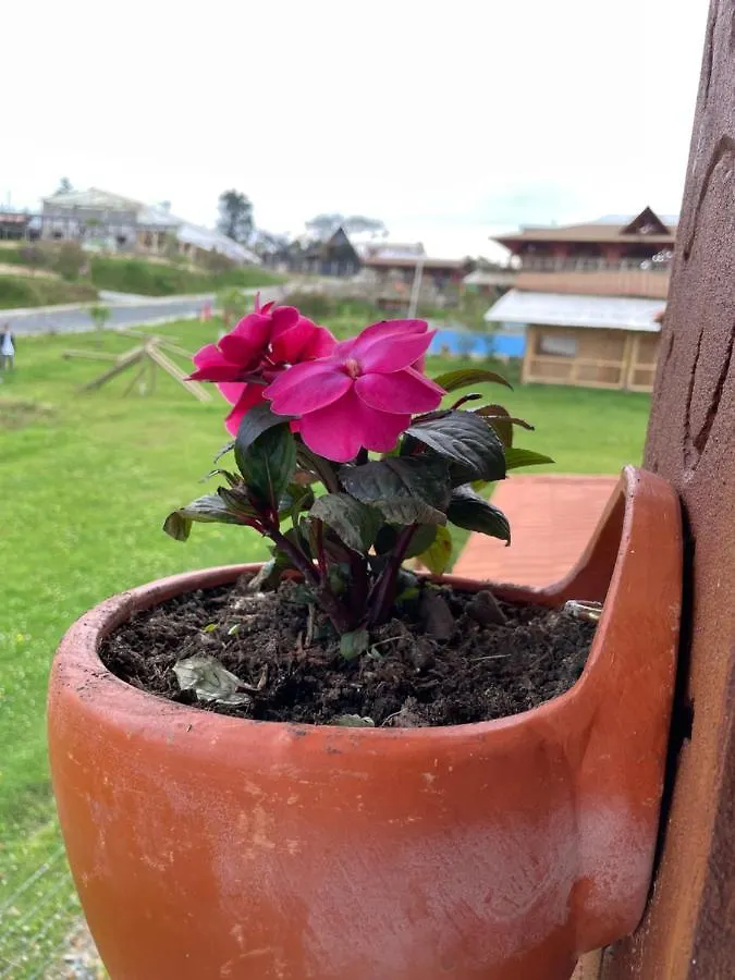 Finca vista verde hostal mágico! Medellín Сasa de vacaciones
